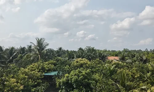 wietnam-delta-Mekongu-basen-przy-homestayu-widok-z-dachu wietnam-delta-Mekongu-basen-przy-homestayu-widok-z-dachu